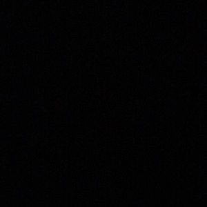 Meet your Posher, Toni